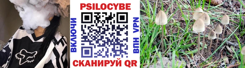 Галлюциногенные грибы Cubensis  МЕГА tor  Бугульма 