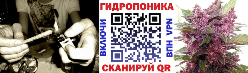 OMG ссылка  Бугульма  Бошки Шишки SATIVA & INDICA  что такое  